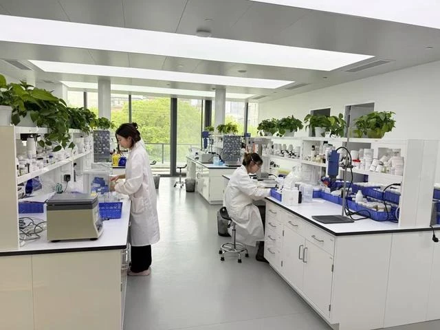 Two formulation technicians working at benches in the research and development laboratory